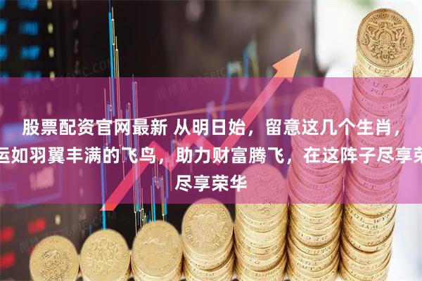 股票配资官网最新 从明日始，留意这几个生肖，财运如羽翼丰满的飞鸟，助力财富腾飞，在这阵子尽享荣华