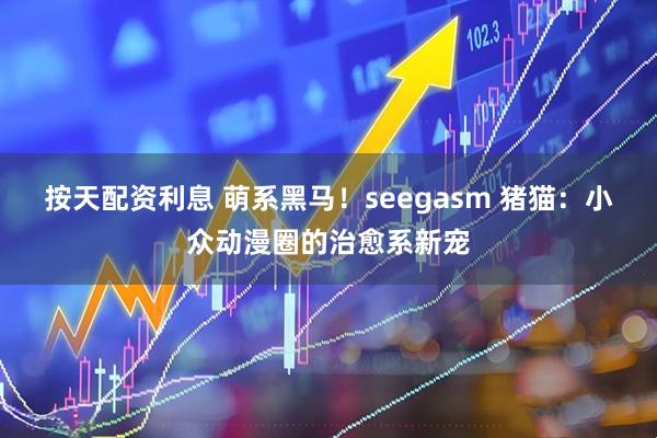按天配资利息 萌系黑马!seegasm 猪猫:小众动漫圈的治愈系新宠