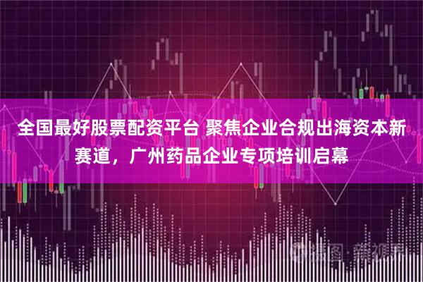 全国最好股票配资平台 聚焦企业合规出海资本新赛道，广州药品企业专项培训启幕